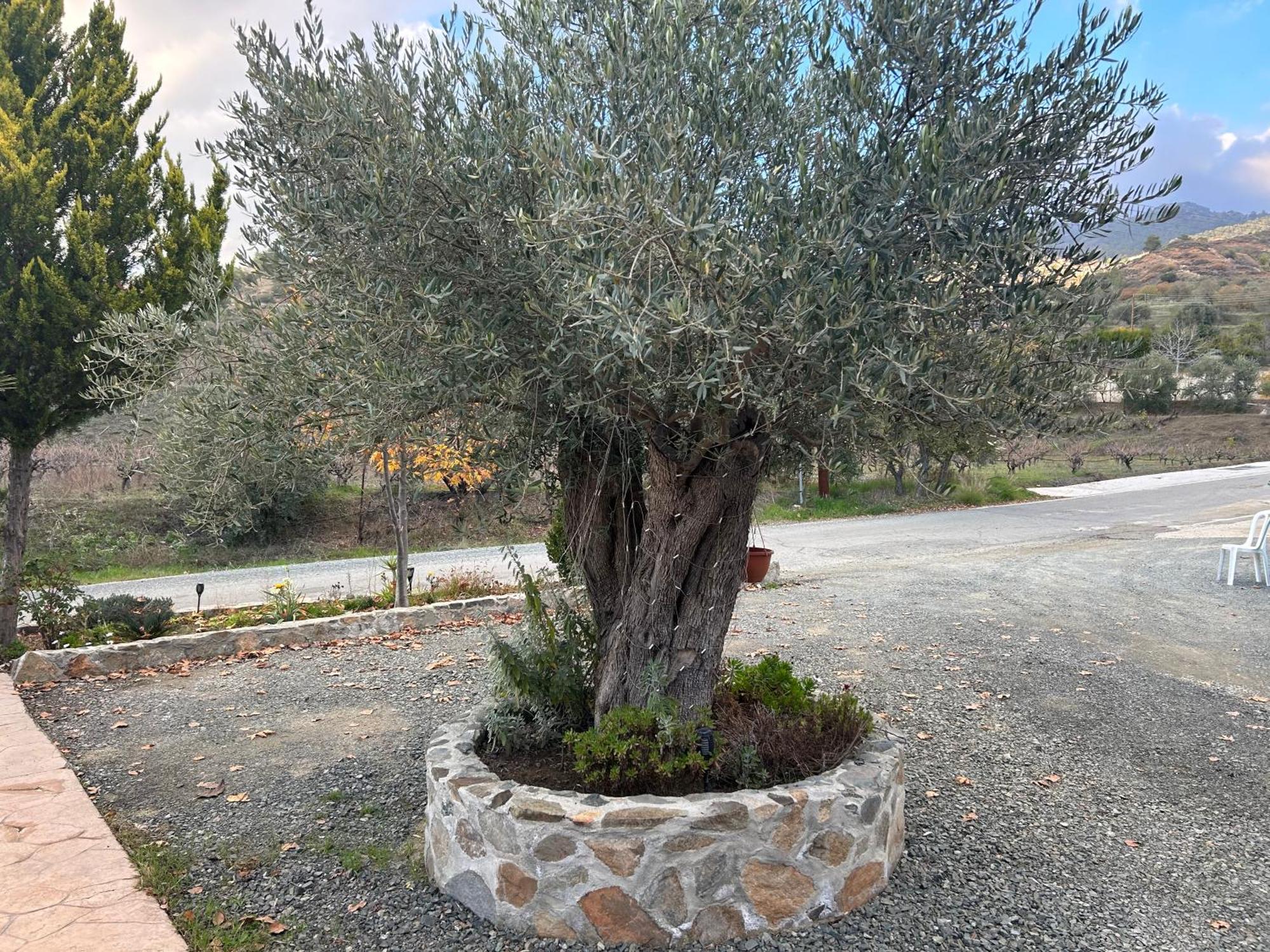 איוס מאמס Sofros Valley Hills Chalet מראה חיצוני תמונה